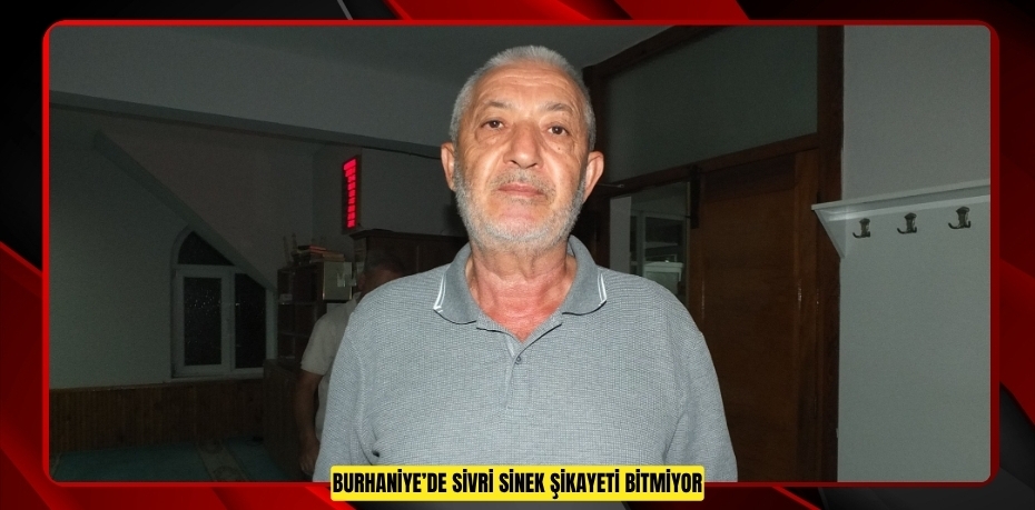 Burhaniye’de sivri sinek şikayeti bitmiyor  