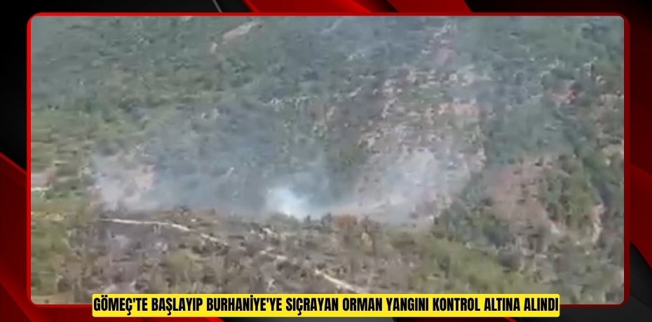 Gömeç'te başlayıp Burhaniye'ye sıçrayan orman yangını kontrol altına alındı