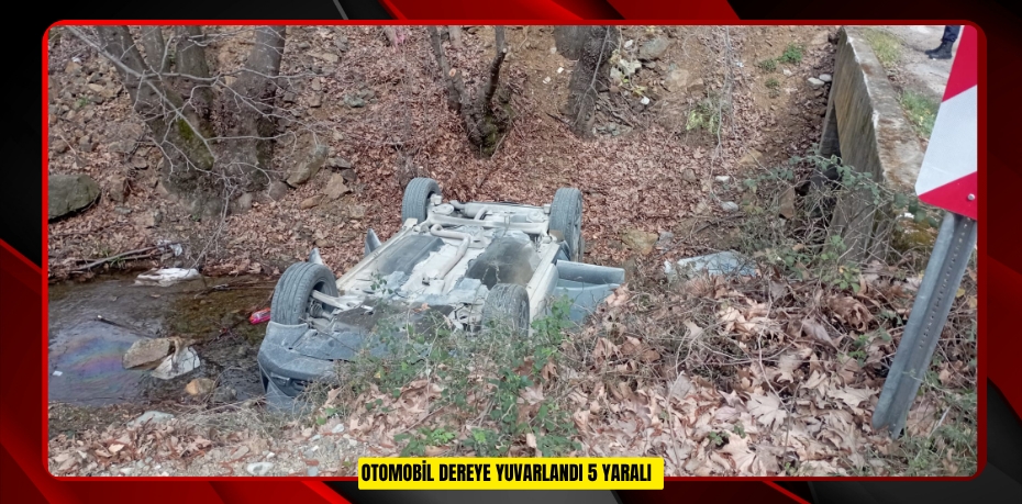 Otomobil dereye yuvarlandı: 5 yaralı  