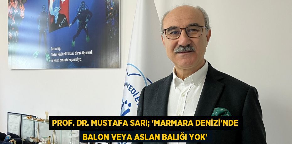 Prof. Dr. Mustafa Sarı; “Marmara Denizi'nde balon veya aslan balığı yok”