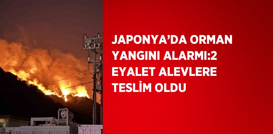 JAPONYA’DA ORMAN YANGINI ALARMI:2 EYALET ALEVLERE TESLİM OLDU