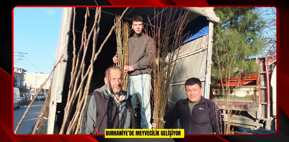 Burhaniye’de meyvecilik gelişiyor  