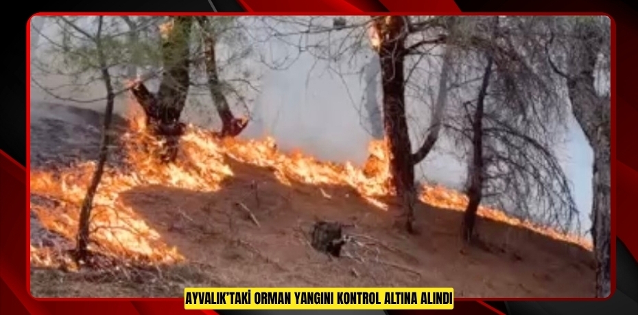 Ayvalık’taki orman yangını kontrol altına alındı