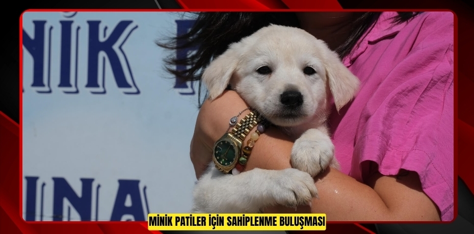 MİNİK PATİLER İÇİN SAHİPLENME BULUŞMASI