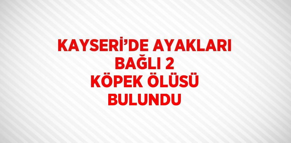 KAYSERİ’DE AYAKLARI BAĞLI 2 KÖPEK ÖLÜSÜ BULUNDU