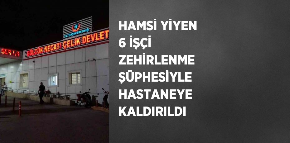 HAMSİ YİYEN 6 İŞÇİ ZEHİRLENME ŞÜPHESİYLE HASTANEYE KALDIRILDI