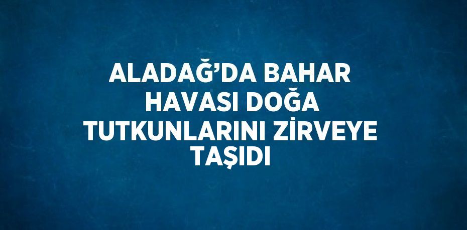 ALADAĞ’DA BAHAR HAVASI DOĞA TUTKUNLARINI ZİRVEYE TAŞIDI