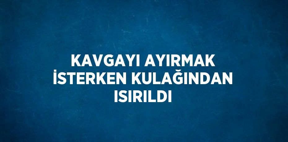 KAVGAYI AYIRMAK İSTERKEN KULAĞINDAN ISIRILDI
