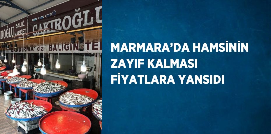 MARMARA’DA HAMSİNİN ZAYIF KALMASI FİYATLARA YANSIDI