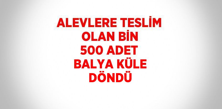 ALEVLERE TESLİM OLAN BİN 500 ADET BALYA KÜLE DÖNDÜ