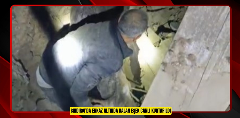 Sındırgı'da enkaz altında kalan eşek canlı kurtarıldı