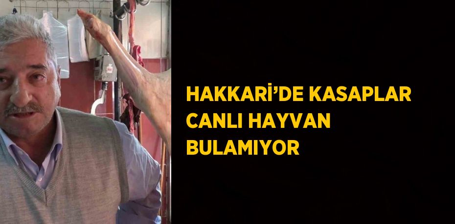 HAKKARİ’DE KASAPLAR CANLI HAYVAN BULAMIYOR