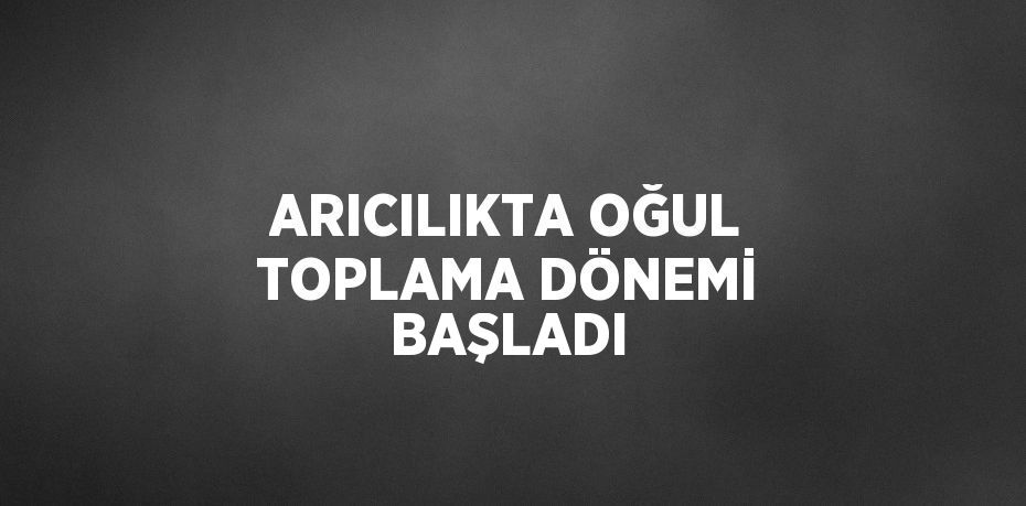 ARICILIKTA OĞUL TOPLAMA DÖNEMİ BAŞLADI