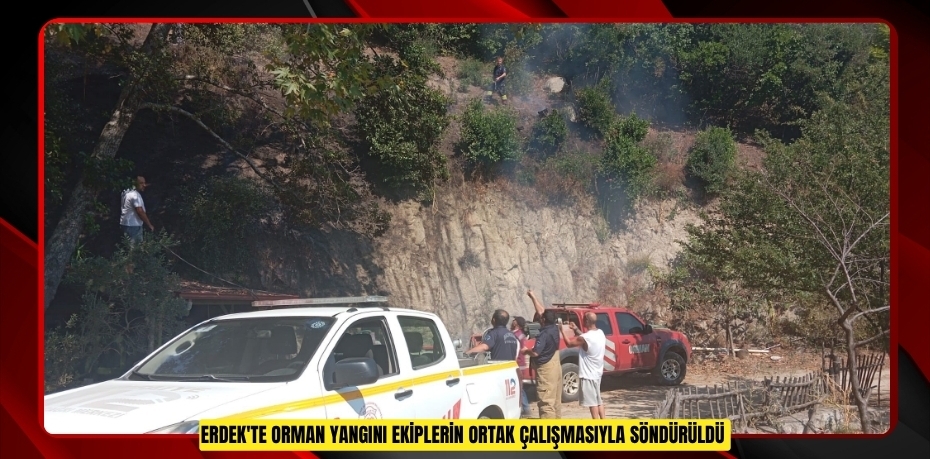 Erdek'te orman yangını ekiplerin ortak çalışmasıyla söndürüldü