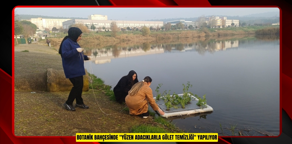 Botanik Bahçesinde "Yüzen Adacıklarla Gölet Temizliği" yapılıyor