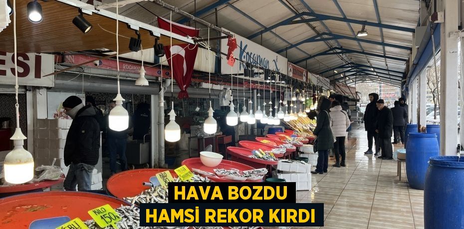 Hava bozdu hamsi rekor kırdı