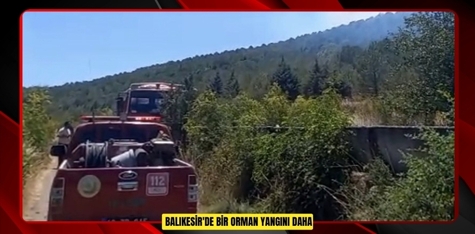 Balıkesir'de bir orman yangını daha