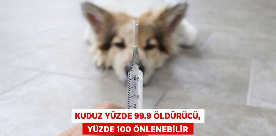 KUDUZ YÜZDE 99.9 ÖLDÜRÜCÜ,  YÜZDE 100 ÖNLENEBİLİR