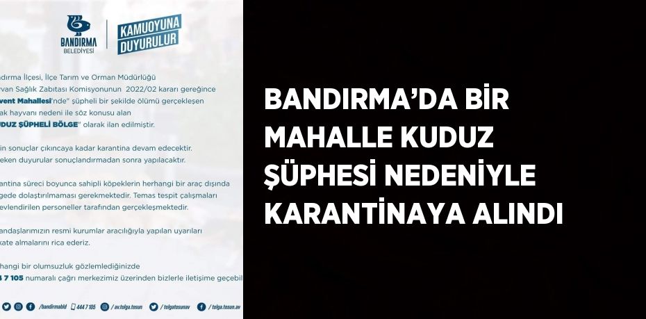 BANDIRMA’DA BİR MAHALLE KUDUZ ŞÜPHESİ NEDENİYLE KARANTİNAYA ALINDI