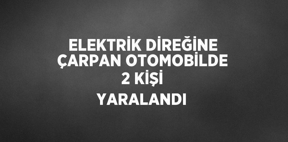 ELEKTRİK DİREĞİNE ÇARPAN OTOMOBİLDE 2 KİŞİ YARALANDI