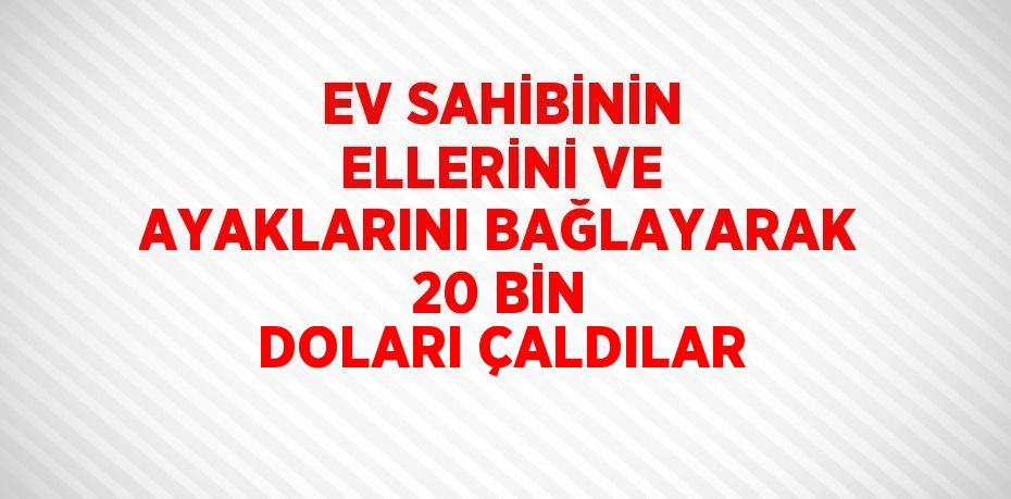 EV SAHİBİNİN ELLERİNİ VE AYAKLARINI BAĞLAYARAK 20 BİN DOLARI ÇALDILAR