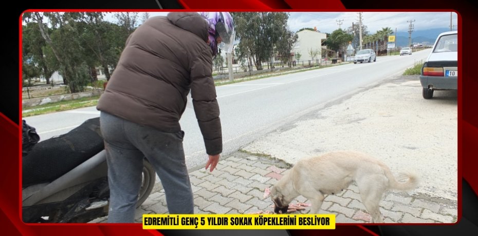 Edremitli genç 5 yıldır sokak köpeklerini besliyor