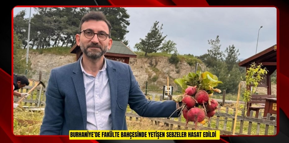 Burhaniye’de fakülte bahçesinde yetişen sebzeler hasat edildi
