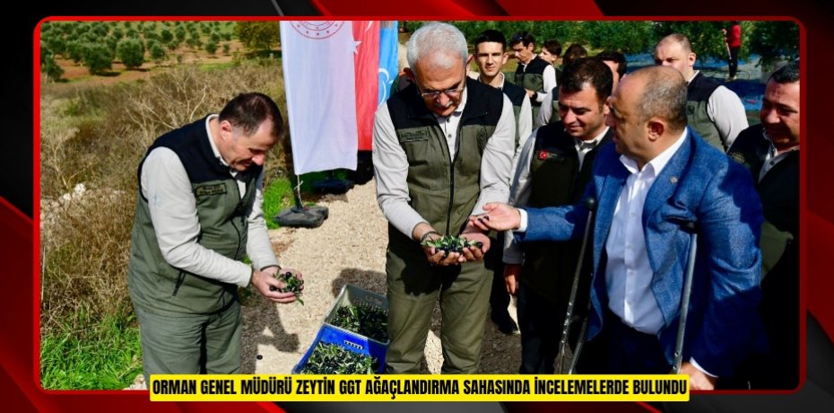 ORMAN GENEL MÜDÜRÜ ZEYTİN GGT AĞAÇLANDIRMA SAHASINDA İNCELEMELERDE BULUNDU
