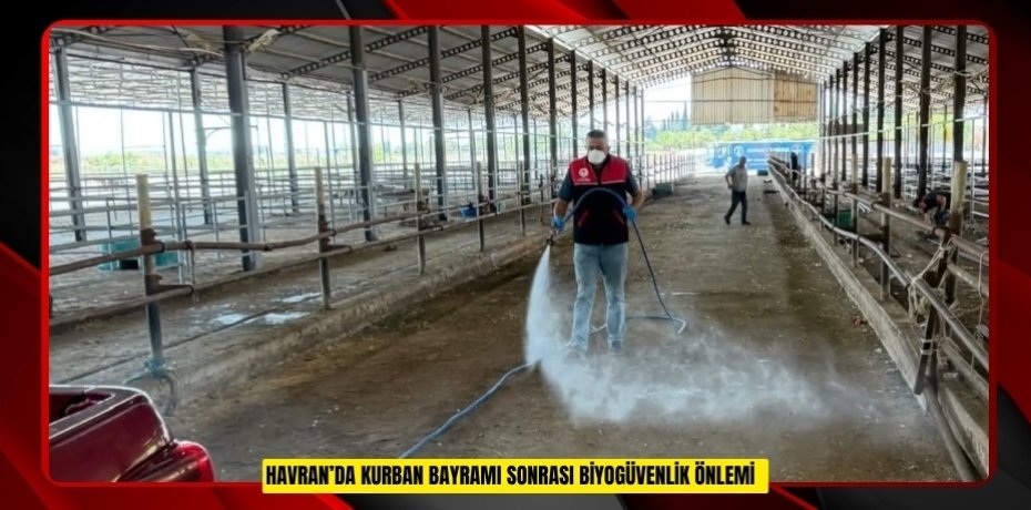 Havran’da kurban bayramı sonrası biyogüvenlik önlemi