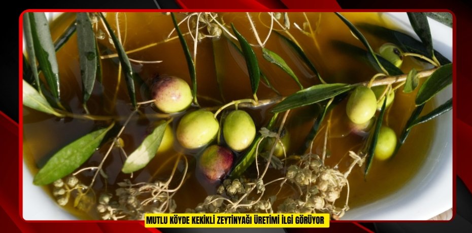 Mutlu köyde kekikli zeytinyağı üretimi ilgi görüyor