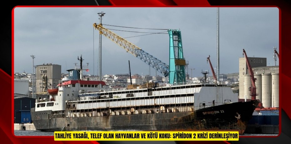 Tahliye yasağı, telef olan hayvanlar ve kötü koku: Spiridon 2 krizi derinleşiyor