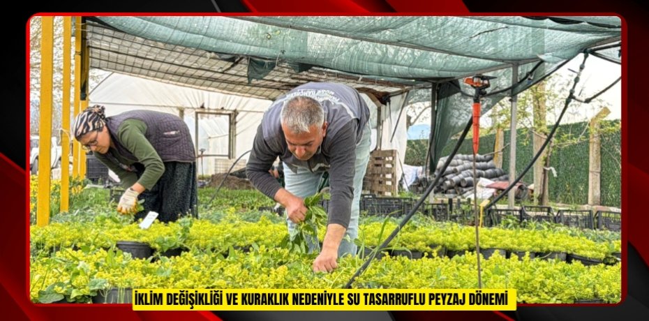 İklim değişikliği ve kuraklık nedeniyle su tasarruflu peyzaj dönemi