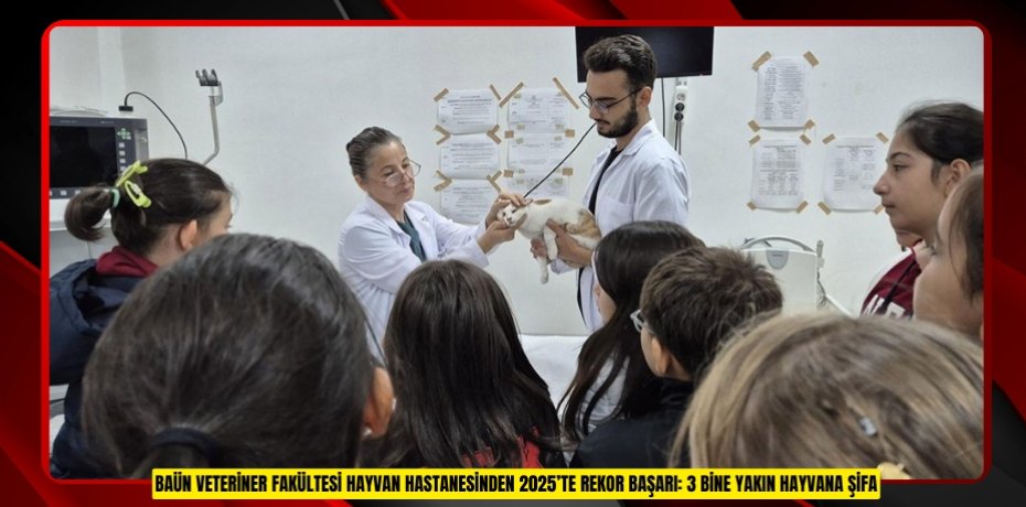 BAÜN VETERİNER FAKÜLTESİ HAYVAN HASTANESİNDEN 2025’TE REKOR BAŞARI: 3 BİNE YAKIN HAYVANA ŞİFA
