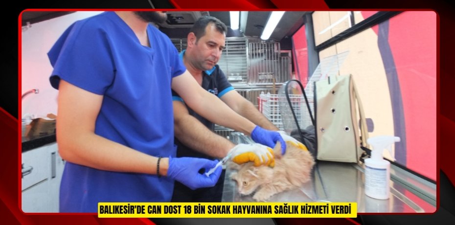 Balıkesir'de Can Dost 18 bin sokak hayvanına sağlık hizmeti verdi
