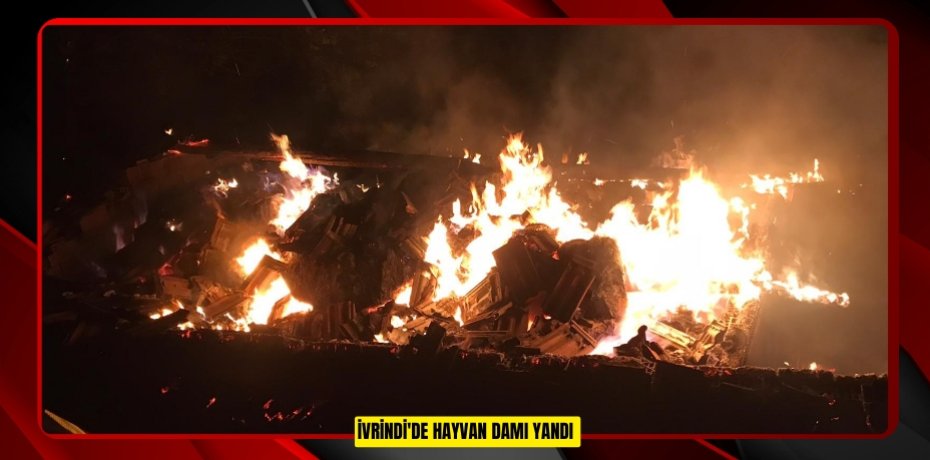 İvrindi'de hayvan damı yandı