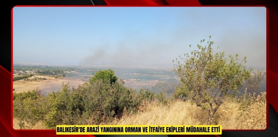 Balıkesir'de arazi yangınına Orman ve itfaiye ekipleri müdahale etti