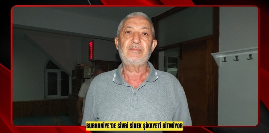 Burhaniye’de sivri sinek şikayeti bitmiyor
