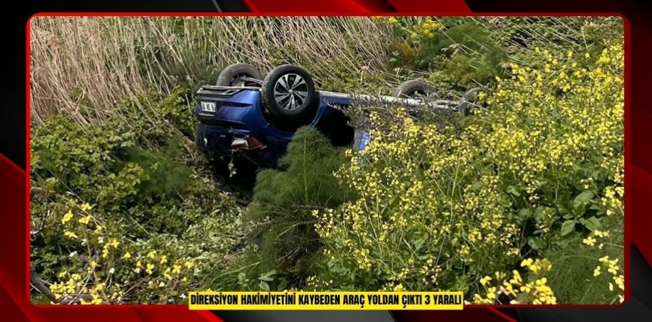 Direksiyon hakimiyetini kaybeden araç yoldan çıktı: 3 yaralı