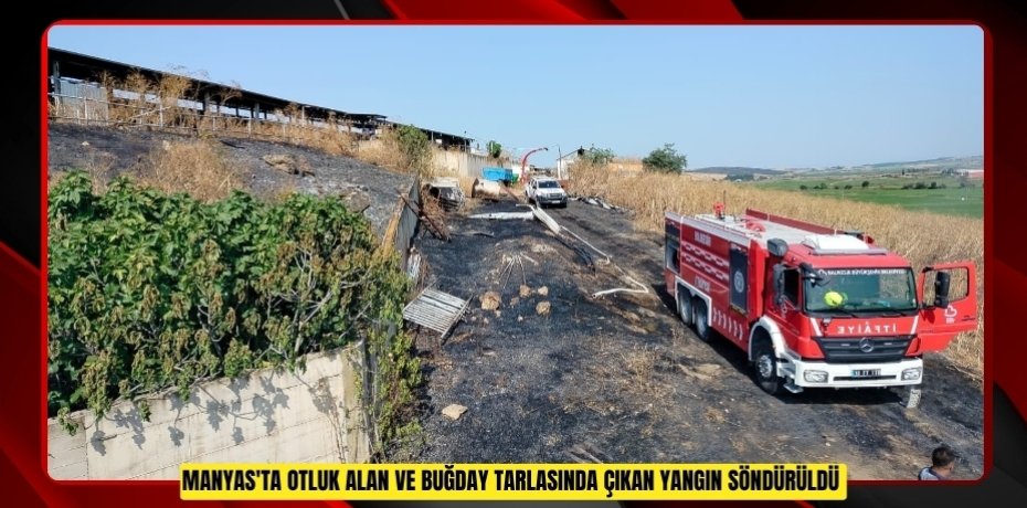 Manyas'ta otluk alan ve buğday tarlasında çıkan yangın söndürüldü