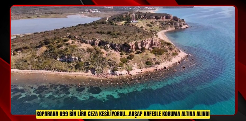 Koparana 699 bin lira ceza kesiliyordu...Ahşap kafesle koruma altına alındı