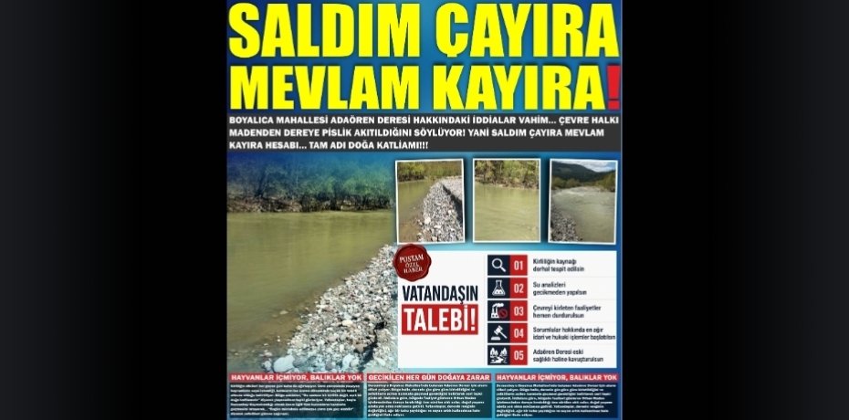 SALDIM ÇAYIRA MEVLAM KAYIRA!