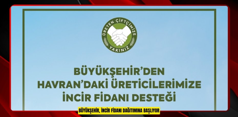 BÜYÜKŞEHİR, İNCİR FİDANI DAĞITIMINA BAŞLIYOR