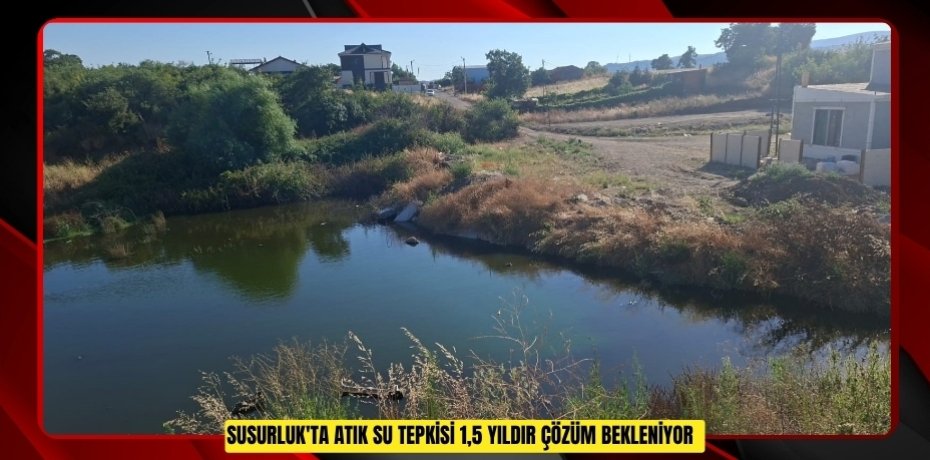 Susurluk'ta atık su tepkisi: "1,5 yıldır çözüm bekleniyor"