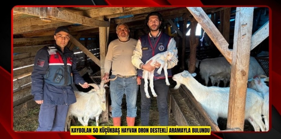 Kaybolan 50 küçükbaş hayvan dron destekli aramayla bulundu